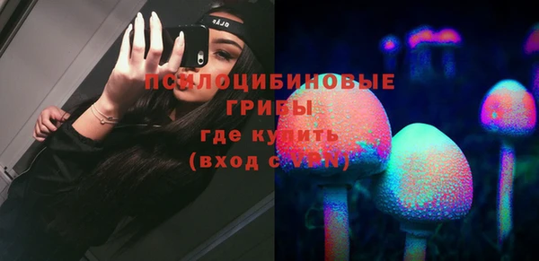 сатива Алексеевка