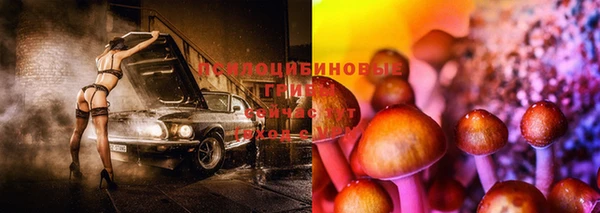 сатива Алексеевка