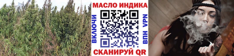 ТГК концентрат Шилка