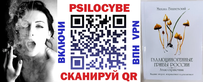 Галлюциногенные грибы Psilocybine cubensis  Шилка 